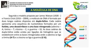 GOVERNO DO ESTADO DO RIO DE JANEIRO
SECRETARIA DE ESTADO DE EDUCAÇÃO
CIEP 415 Miguel de Cervantes
A MOLÉCULA DE DNA
Segundo o modelo proposto por James Watson (1928 - )
e Francis Crick (1916 – 2004), a molécula de DNA é formada por
duas longas cadeias dispostas em dupla-hélice. Cada cadeia
apresenta uma sequência de nucleotídeos formados por um
fosfato, uma desoxirribose e uma base nitrogenada (adenina –
A; timina – T; citosina – C; e guanina – G). As duas cadeias da
dupla-hélice estão unidas por ligações de hidrogênio que se
estabelecem entre as bases nitrogenadas onde a adenina se liga
a timina (A-T) e a citosina se liga a guanina (C-G).
 