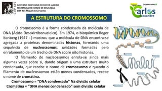 GOVERNO DO ESTADO DO RIO DE JANEIRO
SECRETARIA DE ESTADO DE EDUCAÇÃO
CIEP 415 Miguel de Cervantes
A ESTRUTURA DO CROMOSSOMO
O cromossomo é a forma condensada da molécula de
DNA (Ácido Desoxirribonucleico). Em 1974, o bioquímico Roger
Konberg (1947 - ) mostrou que a molécula de DNA encontra-se
agregada a proteínas denominadas histonas, formando uma
sequência de nucleossomos, unidades formadas pelo
enrolamento de um trecho de DNA sobre oito histonas.
O filamento de nucleossomos enrola-se ainda mais
algumas vezes sobre si, dando origem a uma estrutura muito
condensada, que recebe o nome de cromossomo e quando o
filamento de nucleossomos estão menos condensados, recebe
o nome de cromatina.
Cromossomo = “DNA condensado” Na divisão celular
Cromatina = “DNA menos condensado” sem divisão celular
 