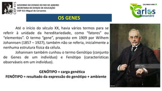 GOVERNO DO ESTADO DO RIO DE JANEIRO
SECRETARIA DE ESTADO DE EDUCAÇÃO
CIEP 415 Miguel de Cervantes
OS GENES
Até o início do século XX, havia vários termos para se
referir à unidade da hereditariedade, como “fatores” ou
“elementos”. O termo “gene”, proposto em 1909 por Wilhem
Johannsen (1857 – 1927), também não se referia, inicialmente a
nenhuma estrutura física da célula.
Johannsen também cunhou o termo Genótipo (conjunto
de Genes de um indivíduo) e Fenótipo (características
observáveis em um indivíduo).
GENÓTIPO = carga genética
FENÓTIPO = resultado da expressão do genótipo + ambiente
 