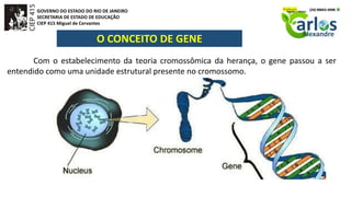 GOVERNO DO ESTADO DO RIO DE JANEIRO
SECRETARIA DE ESTADO DE EDUCAÇÃO
CIEP 415 Miguel de Cervantes
O CONCEITO DE GENE
Com o estabelecimento da teoria cromossômica da herança, o gene passou a ser
entendido como uma unidade estrutural presente no cromossomo.
 