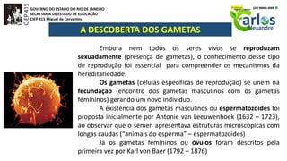 GOVERNO DO ESTADO DO RIO DE JANEIRO
SECRETARIA DE ESTADO DE EDUCAÇÃO
CIEP 415 Miguel de Cervantes
A DESCOBERTA DOS GAMETAS
Embora nem todos os seres vivos se reproduzam
sexuadamente (presença de gametas), o conhecimento desse tipo
de reprodução foi essencial para compreender os mecanismos da
hereditariedade.
Os gametas (células específicas de reprodução) se unem na
fecundação (encontro dos gametas masculinos com os gametas
femininos) gerando um novo indivíduo.
A existência dos gametas masculinos ou espermatozoides foi
proposta inicialmente por Antonie van Leeuwenhoek (1632 – 1723),
ao observar que o sêmen apresentava estruturas microscópicas com
longas caudas (“animais do esperma” – espermatozoides)
Já os gametas femininos ou óvulos foram descritos pela
primeira vez por Karl von Baer (1792 – 1876)
 