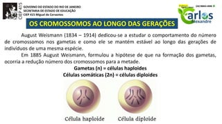 GOVERNO DO ESTADO DO RIO DE JANEIRO
SECRETARIA DE ESTADO DE EDUCAÇÃO
CIEP 415 Miguel de Cervantes
OS CROMOSSOMOS AO LONGO DAS GERAÇÕES
August Weismann (1834 – 1914) dedicou-se a estudar o comportamento do número
de cromossomos nos gametas e como ele se mantém estável ao longo das gerações de
indivíduos de uma mesma espécie.
Em 1885 August Weismann, formulou a hipótese de que na formação dos gametas,
ocorria a redução número dos cromossomos para a metade.
Gametas (n) = células haploides
Células somáticas (2n) = células diploides
 