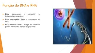 Função do DNA e RNA
 DNA: Armazenar e transmitir as
informações genéticas.
 RNA mensageiro: Leva a mensagem do
DNA
 RNA transportador: Carrega as proteínas
para o Ribossomo montar as proteínas
 