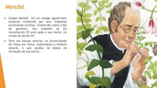 Mendel
 Gregor Mendel foi um monge agostiniano
bastante conhecido por seus trabalhos
envolvendo ervilhas. Conhecido como o Pai
da genética. Seu trabalho só foi
reconhecido 35 anos após a sua morte, na
virada do século XX
 Teve um estudo anterior na Universidade
de Viena em física, matemática e história
natural, o que ajudou na época na
formação de sua teoria.
 