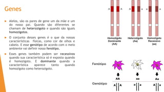 Genes
 Alelos, são os pares de gene um da mãe e um
do nosso pai. Quando são diferentes se
chamam de heterozigoto e quando são iguais
homozigotos.
 O conjunto desses genes é o que da nossas
características físicas, como cor de olhos e
cabelo. E esse genótipo de acordo com o meio
ambiente vai definir nosso fenótipo.
 Esses genes também podem ser recessivos
quando sua característica só é exposta quando
é homozigoto. E dominante quando a
característica aparece tanto quando
homozigoto como heterozigoto.
 