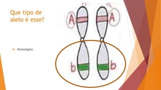 Que tipo de
alelo é esse?
 Homozigoto
 