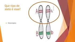 Que tipo de
alelo é esse?
 Heterozigoto
 