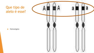 Que tipo de
alelo é esse?
 Homozigoto
 