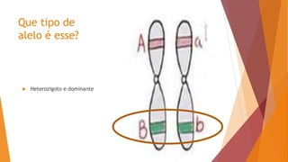 Que tipo de
alelo é esse?
 Heterozigoto e dominante
 