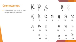 Cromossomos
 Cromossomos são fitas de DNA
compactadas por proteínas.
 