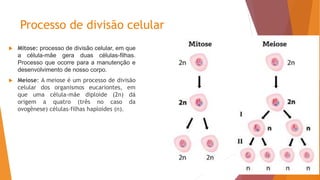 Processo de divisão celular
 Mitose: processo de divisão celular, em que
a célula-mãe gera duas células-filhas.
Processo que ocorre para a manutenção e
desenvolvimento de nosso corpo.
 Meiose: A meiose é um processo de divisão
celular dos organismos eucariontes, em
que uma célula-mãe diploide (2n) dá
origem a quatro (três no caso da
ovogênese) células-filhas haploides (n).
 