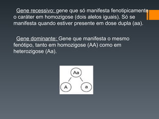 Gene recessivo: gene que só manifesta fenotipicamente
o caráter em homozigose (dois alelos iguais). Só se
manifesta quando estiver presente em dose dupla (aa).
Gene dominante: Gene que manifesta o mesmo
fenótipo, tanto em homozigose (AA) como em
heterozigose (Aa).
 