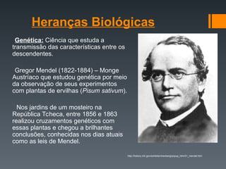 Heranças Biológicas
Genética: Ciência que estuda a
transmissão das características entre os
descendentes.
Gregor Mendel (1822-1884) – Monge
Austríaco que estudou genética por meio
da observação de seus experimentos
com plantas de ervilhas (Pisum sativum).
Nos jardins de um mosteiro na
República Tcheca, entre 1856 e 1863
realizou cruzamentos genéticos com
essas plantas e chegou a brilhantes
conclusões, conhecidas nos dias atuais
como as leis de Mendel.
http://history.nih.gov/exhibits/nirenberg/popup_htm/01_mendel.htm
 