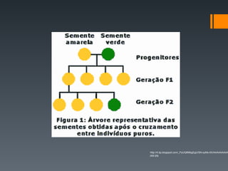 http://4.bp.blogspot.com/_PyUQ8MbgEgU/SN-syMs-tXI/AAAAAAAAA
ppp.jpg
 