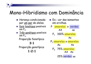 Mono-Hibridismo com Dominância
    Herança condicionada        Ex.: cor das sementes
    por um par de alelos.       em ervilhas.
    Dois fenótipos possíveis   P amarelas x verdes
    em F2.                           AA          aa
    Três genótipos possíveis
                                F1 100% amarelas
    em F2.
                                            Aa
   Proporção fenotípica
                               F1 amarelas x amarelas
            3:1                     Aa        Aa
   Proporção genotípica
                                F2 75% amarelas
           1:2:1                          AA Aa
                                    25% verdes aa
 
