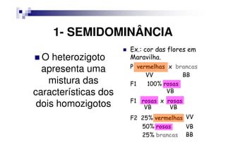 1- SEMIDOMINÂNCIA
                      Ex.: cor das flores em
  O heterozigoto      Maravilha.
  apresenta uma       P vermelhas x brancas
                           VV         BB
    mistura das       F1   100% rosas
características dos              VB

 dois homozigotos     F1 rosas x rosas
                          VB      VB
                      F2 25% vermelhas VV
                         50% rosas     VB
                         25% brancas BB
 