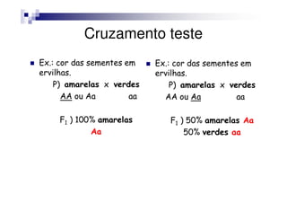 Cruzamento teste
Ex.: cor das sementes em    Ex.: cor das sementes em
ervilhas.                   ervilhas.
    P) amarelas x verdes        P) amarelas x verdes
      AA ou Aa         aa     AA ou Aa           aa

     F1 ) 100% amarelas        F1 ) 50% amarelas Aa
             Aa                    50% verdes aa
 