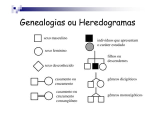 Genealogias ou Heredogramas
     sexo masculino
                           indivíduos que apresentam
                           o caráter estudado
     sexo feminino
                                 filhos ou
                                 descendentes
     sexo desconhecido


           casamento ou          gêmeos dizigóticos
           cruzamento

            casamento ou
            cruzamento           gêmeos monozigóticos
            consangüíneo
 