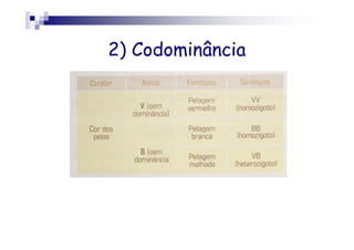 2) Codominância
 