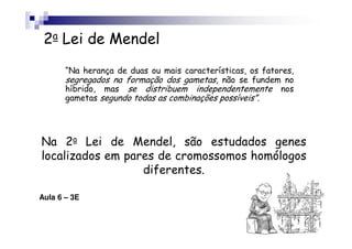 2a Lei de Mendel
       “Na herança de duas ou mais características, os fatores,
       segregados na formação dos gametas, não se fundem no
       híbrido, mas se distribuem independentemente nos
       gametas segundo todas as combinações possíveis”.




Na 2a Lei de Mendel, são estudados genes
localizados em pares de cromossomos homólogos
                  diferentes.

Aula 6 – 3E
 