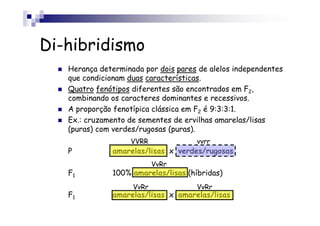 Di-hibridismo
   Herança determinada por dois pares de alelos independentes
   que condicionam duas características.
   Quatro fenótipos diferentes são encontrados em F2,
   combinando os caracteres dominantes e recessivos.
   A proporção fenotípica clássica em F2 é 9:3:3:1.
   Ex.: cruzamento de sementes de ervilhas amarelas/lisas
   (puras) com verdes/rugosas (puras).
                   VVRR               vvrr
   P           amarelas/lisas x verdes/rugosas
                           VvRr
   F1          100% amarelas/lisas (híbridas)
                    VvRr              VvRr
   F1          amarelas/lisas x amarelas/lisas
 