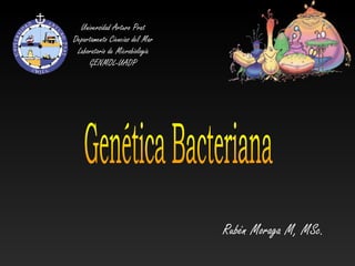 Universidad Arturo Prat Departamento Ciencias del Mar Laboratorio de Microbiología GENMOL-UADP Genética Bacteriana Rubén Moraga M, MSc. 