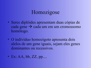 Homozigose
• Seres diplóides apresentam duas cópias de
cada gene  cada um em um cromossomo
homólogo.
• O indivíduo homozigoto apresenta dois
alelos de um gene iguais, sejam eles genes
dominantes ou recessivos.
• Ex: AA, bb, ZZ, pp....
 