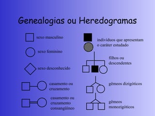 Genealogias ou Heredogramas
sexo masculino
sexo feminino
sexo desconhecido
casamento ou
cruzamento
casamento ou
cruzamento
consangüíneo
indivíduos que apresentam
o caráter estudado
filhos ou
descendentes
gêmeos dizigóticos
gêmeos
monozigóticos
 