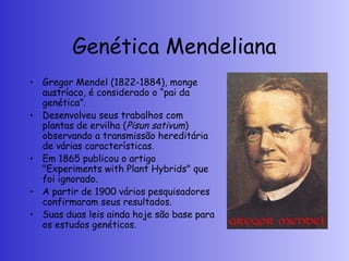 Genética Mendeliana
• Gregor Mendel (1822-1884), monge
austríaco, é considerado o “pai da
genética”.
• Desenvolveu seus trabalhos com
plantas de ervilha (Pisun sativum)
observando a transmissão hereditária
de várias características.
• Em 1865 publicou o artigo
"Experiments with Plant Hybrids" que
foi ignorado.
• A partir de 1900 vários pesquisadores
confirmaram seus resultados.
• Suas duas leis ainda hoje são base para
os estudos genéticos.
 