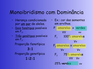 Monoibridismo com Dominância
• Herança condicionada
por um par de alelos.
• Dois fenótipos possíveis
em F2.
• Três genótipos possíveis
em F2.
Proporção fenotípica
3:1
Proporção genotípica
1:2:1
• Ex.: cor das sementes
em ervilhas.
P amarelas x verdes
F1 100% amarelas
F1 amarelas x amarelas
F2 75% amarelas
25% verdes
VV vv
Vv
Vv Vv
Vv
VV
vv
 