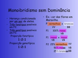 Monoibridismo sem Dominância
• Herança condicionada
por um par de alelos.
• Três fenótipos possíveis
em F2.
• Três genótipos possíveis
em F2.
Proporção fenotípica
1:2:1
Proporção genotípica
1:2:1
• Ex.: cor das flores em
Maravilha.
P vermelhas x brancas
F1 100% rosas
F1 rosas x rosas
F2 25% vermelhas
50% rosas
25% brancas
VV BB
VB
VB VB
VV
VB
BB
 
