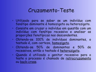 Cruzamento-Teste
• Utilizado para se saber se um indivíduo com
fenótipo dominante é homozigoto ou heterozigoto.
• Consiste em cruzar o indivíduo em questão com um
indivíduo com fenótipo recessivo e analisar as
proporções fenotípicas nos descendentes.
• Obtendo-se 100% de indivíduos dominantes, o
testado é, com certeza, homozigoto.
• Obtendo-se 50% de dominantes e 50% de
recessivos, então o testado é heterozigoto.
• Quando é utilizado o genitor recessivo para o
teste o processo é chamado de retrocruzamento
ou back-cross.
 