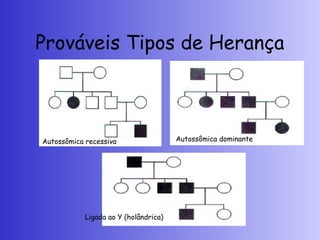 Prováveis Tipos de Herança
Autossômica recessiva Autossômica dominante
Ligada ao Y (holândrica)
 