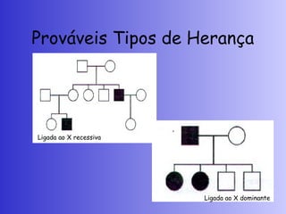 Prováveis Tipos de Herança
Ligada ao X recessiva
Ligada ao X dominante
 