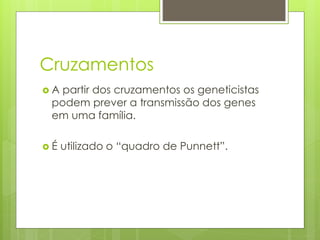 Cruzamentos
 A partir dos cruzamentos os geneticistas
podem prever a transmissão dos genes
em uma família.
 É utilizado o “quadro de Punnett”.
 