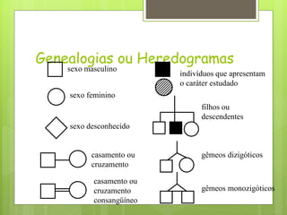Genealogias ou Heredogramas
sexo masculino
sexo feminino
sexo desconhecido
casamento ou
cruzamento
casamento ou
cruzamento
consangüíneo
indivíduos que apresentam
o caráter estudado
filhos ou
descendentes
gêmeos dizigóticos
gêmeos monozigóticos
 