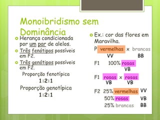 Monoibridismo sem
Dominância
 Herança condicionada
por um par de alelos.
 Três fenótipos possíveis
em F2.
 Três genótipos possíveis
em F2.
Proporção fenotípica
1:2:1
Proporção genotípica
1:2:1
 Ex.: cor das flores em
Maravilha.
P vermelhas x brancas
F1 100% rosas
F1 rosas x rosas
F2 25% vermelhas
50% rosas
25% brancas
VV BB
VB
VB VB
VV
VB
BB
 