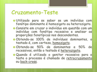 Cruzamento-Teste
 Utilizado para se saber se um indivíduo com
fenótipo dominante é homozigoto ou heterozigoto.
 Consiste em cruzar o indivíduo em questão com um
indivíduo com fenótipo recessivo e analisar as
proporções fenotípicas nos descendentes.
 Obtendo-se 100% de indivíduos dominantes, o
testado é, com certeza, homozigoto.
 Obtendo-se 50% de dominantes e 50% de
recessivos, então o testado é heterozigoto.
 Quando é utilizado o genitor recessivo para o
teste o processo é chamado de retrocruzamento
ou back-cross.
 