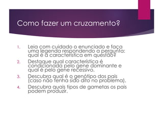 Como fazer um cruzamento?
1. Leia com cuidado o enunciado e faça
uma legenda respondendo a pergunta:
qual é a característica em questão?
2. Destaque qual característica é
condicionada pelo gene dominante e
qual é pelo gene recessivo.
3. Descubra qual é o genótipo dos pais
(caso não tenha sido dito no problema).
4. Descubra quais tipos de gametas os pais
podem produzir.
 