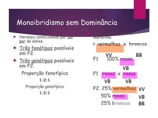 Monoibridismo sem Dominância
 Herança condicionada por um
par de alelos.
 Três fenótipos possíveis
em F2.
 Três genótipos possíveis
em F2.
Proporção fenotípica
1:2:1
Proporção genotípica
1:2:1
 Ex.: cor das flores em
Maravilha.
P vermelhas x brancas
F1 100% rosas
F1 rosas x rosas
F2 25% vermelhas
50% rosas
25% brancas
VV BB
VB
VB VB
VV
VB
BB
 