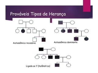 Prováveis Tipos de Herança
Autossômica recessiva Autossômica dominante
Ligada ao Y (holândrica)
 