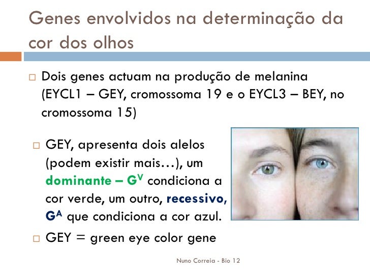 GenéTica Da Cor Dos Olhos 1