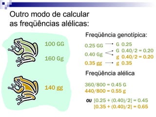 100 GG 160 Gg 140 gg Outro modo de calcular as freqüências alélicas: Freqüência genotípica: Freqüência alélica 0.25 GG 0.40 Gg 0.35 gg 0.25 0.40/2 = 0.20 0.40/2 = 0.20 0.35 360/800 = 0.45 G 440/800 = 0.55 g OU   [0.25 + (0.40)/2] = 0.45 [0.35 + (0.40)/2] = 0.65 G g G g 