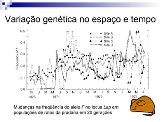 Variação genética no espaço e tempo Mudanças na freqüência do alelo  F  no locus  Lap  em populações de ratos da pradaria em 20 gerações 