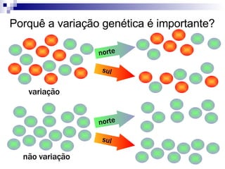 Porquê a variação genética é importante? variação não variação norte sul norte sul 