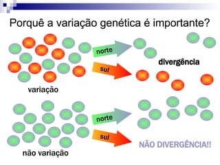 Porquê a variação genética é importante? variação não variação divergência NÃO DIVERGÊNCIA!! norte sul norte sul 
