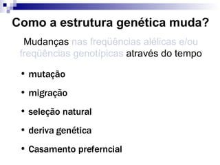 Como a estrutura genética muda? Mudanças  nas freqüências alélicas e/ou freqüências genotípicas  através do tempo mutação migração seleção natural deriva genética Casamento preferncial 