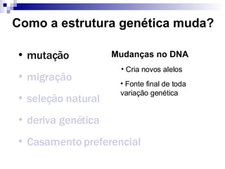 Como a estrutura genética muda? mutação migração seleção natural deriva genética Casamento preferencial Mudanças no DNA Cria novos alelos Fonte final de toda variação genética 