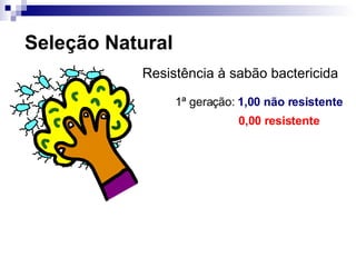 Seleção Natural Resistência à sabão bactericida 1 ª geração:  1,00 não resistente 0,00 resistente 