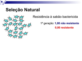 Seleção Natural Resistência à sabão bactericida 1 ª geração:  1,00 não resistente 0,00 resistente 